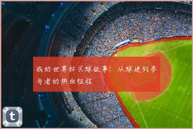 我的世界杯买球故事:从球迷到参与者的热血征程