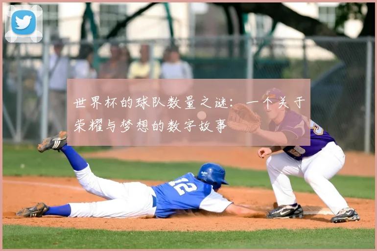 世界杯的球队数量之谜:一个关于荣耀与梦想的数字故事