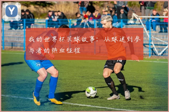 我的世界杯买球故事:从球迷到参与者的热血征程