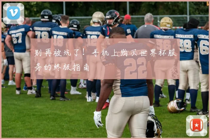 别再被坑了!手机上购买世界杯服务的终极指南