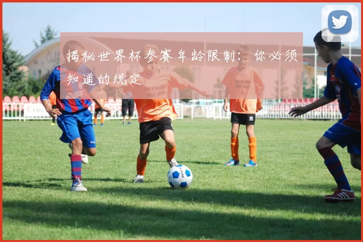 揭秘世界杯参赛年龄限制:你必须知道的规定